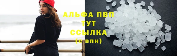 ALPHA PVP Магас