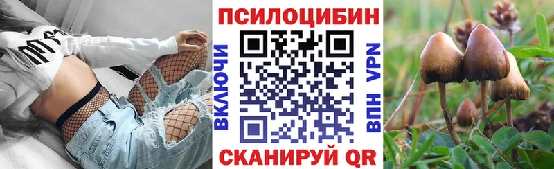 Псилоцибиновые грибы Psilocybine cubensis  Майкоп 