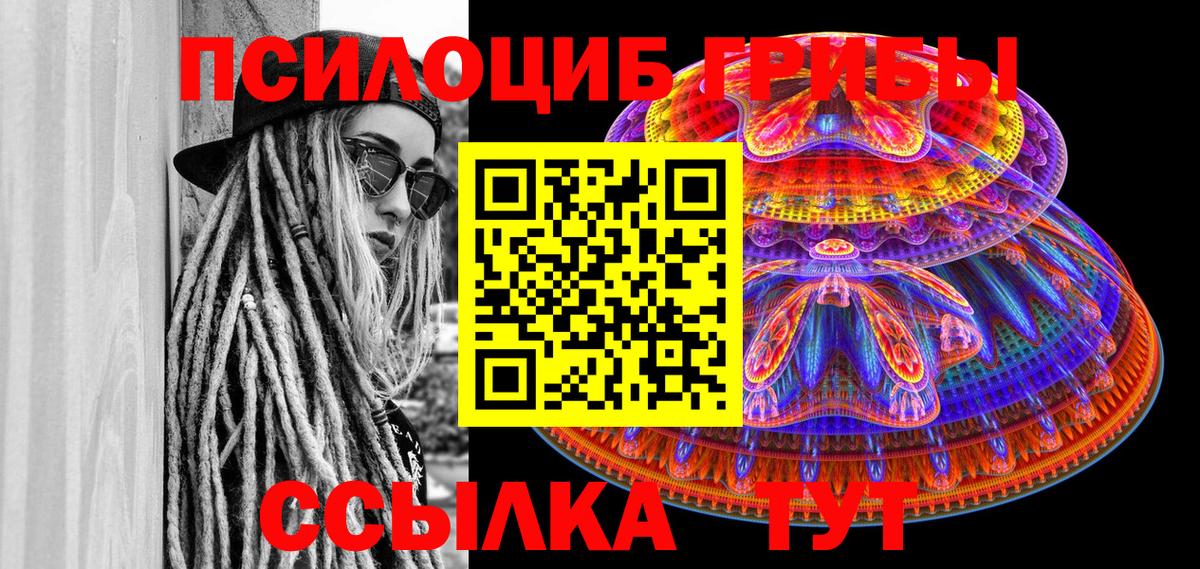 Псилоцибиновые грибы Cubensis  Вход с VPN  Майкоп  Галлюциногенные грибы прущие грибы 