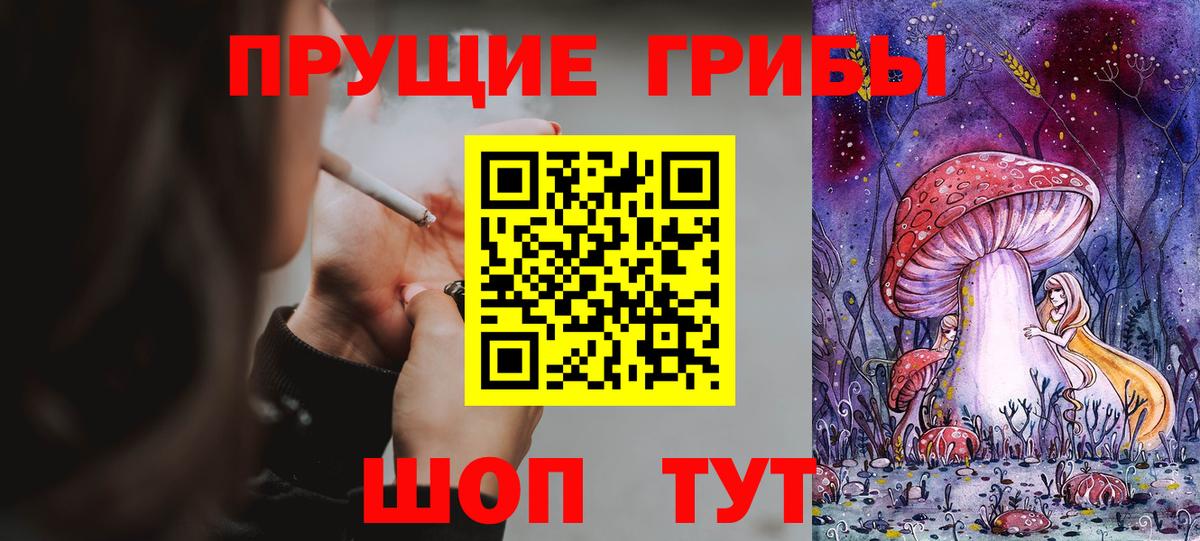 Псилоцибиновые грибы GOLDEN TEACHER Майкоп