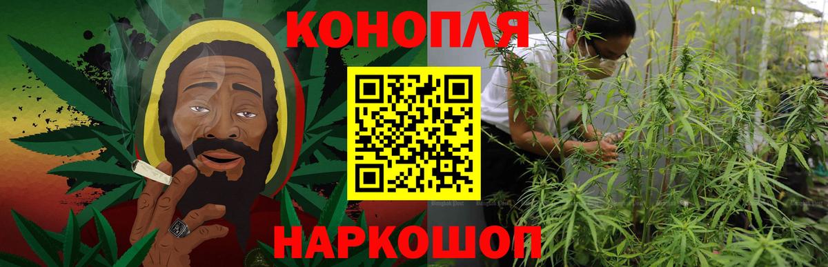 Майкоп  Шишки марихуана планчик  Бошки марихуана план  Вход с VPN 